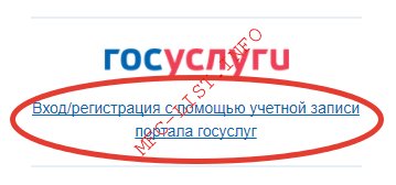 Как оплатить налоги через госуслуги (шаг 1 авторизация на nalog.ru)