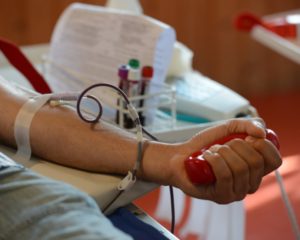 Какие льготы предоставляются донорам крови в России в 2019 году